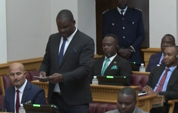 More new MPs introduce themselves in the National Assembly