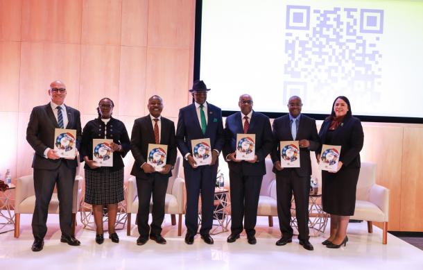 Bank of Namibia report, impact on economy and investors