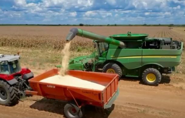 Ndonga Linena targets 5400 tonnes maize yield this season