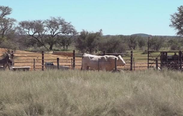 Ozombahe farmers cooperative counts achievements