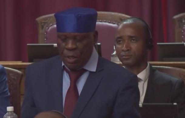 Lukato advocates for social grant increase in maiden address in National Assembly