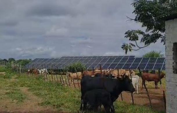 Ondera Farm struggles despite good rainfall as equipment delays stall production