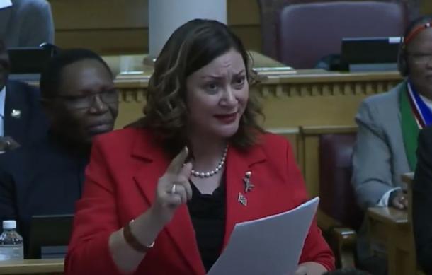 Steenkamp vows to address wasteful education spending