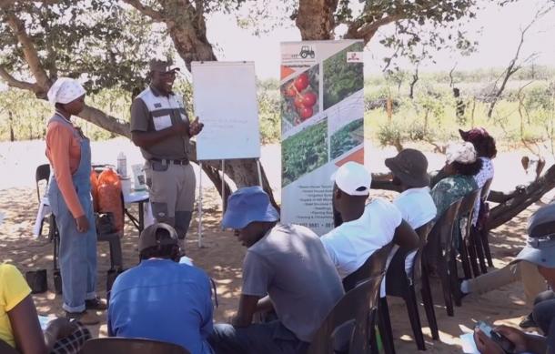 Farmers urged to prioritize crop and fodder production in Epukiro