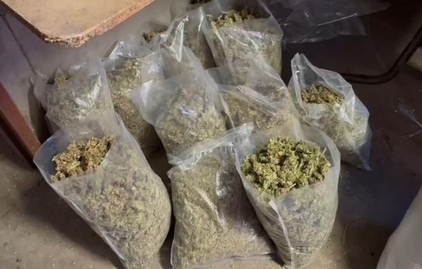 Hochfeld drug-producing suspects denied bail