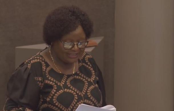 Funding gaps still hamper youth empowerment – Hanghuwo