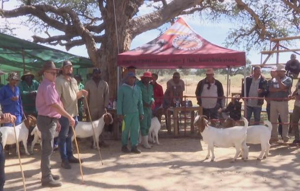 Small stock breeders urged to share expertise at Reho Expo