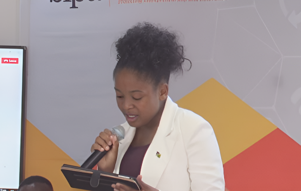 Proposed Copyright Levy System could protect creators