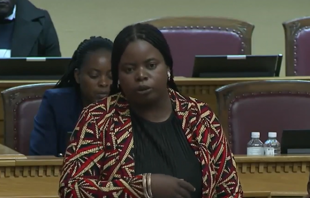 MPs raise concerns over unaccredited institutions and NSFAF discrimination