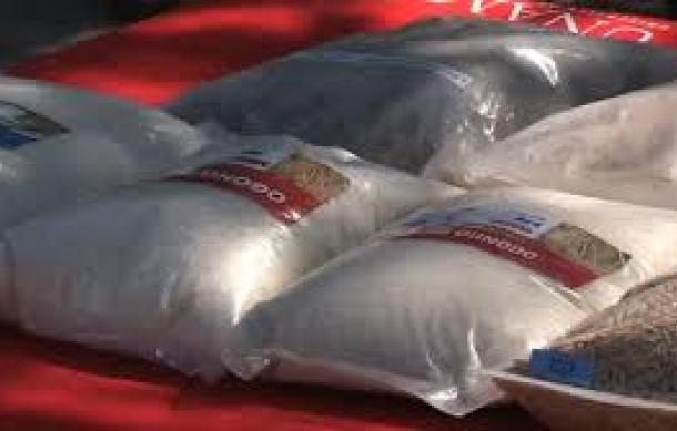 UNAM expects the Ogongo Rice Project to produce nineteen tons