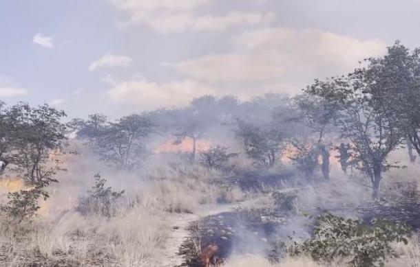 Wildfires cause of concern at Opuwo