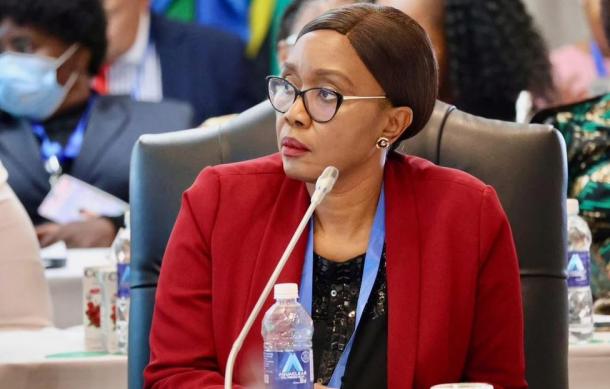 SADC  requires stronger collaboration in A.I governance