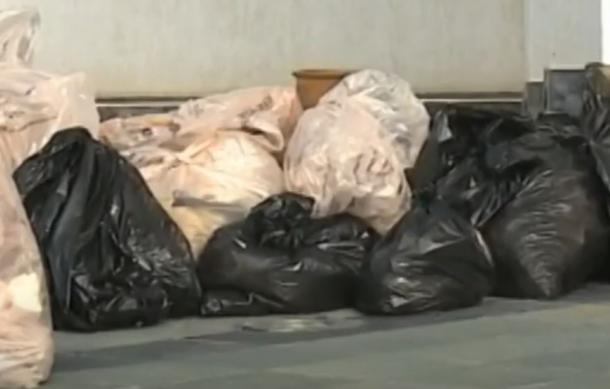 Ecosystems at risk from plastic pollution