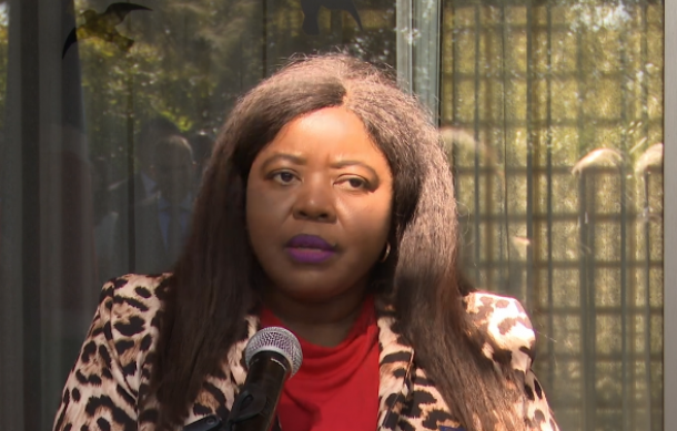 Namibia, Egypt reaffirm African unity ties