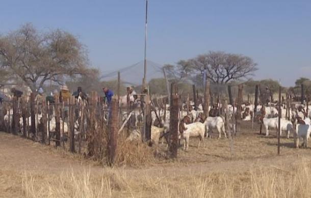 Swakop Uranium launches Hope Farm Project near Usakos