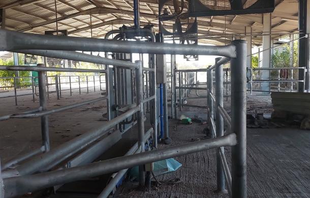 Plans to revive Uvhungu-Vhungu dairy farm underway