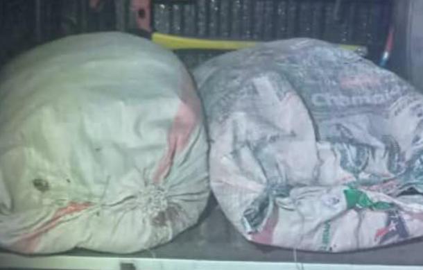 Trio remains in custody over cannabis