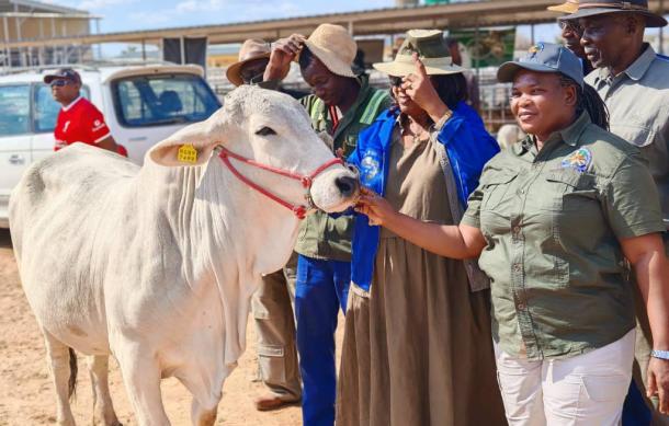 Omaheke farmers praised for driving grassroots agricultural growth