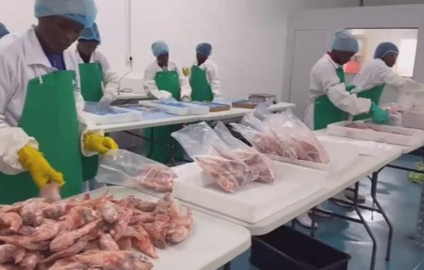 CNFA warns of job losses over new bycatch limits