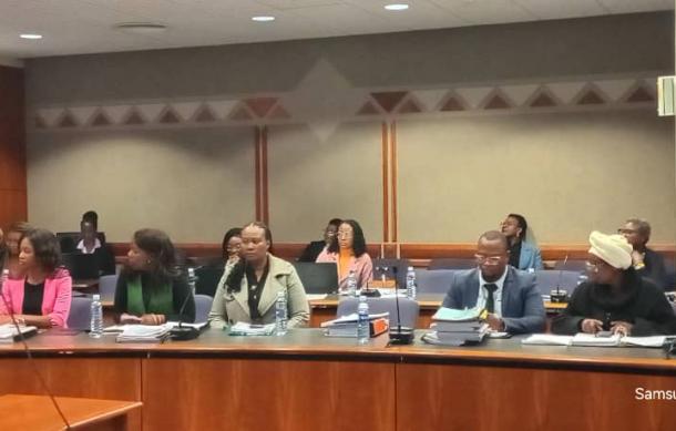 Six companies face Employment Equity Committee