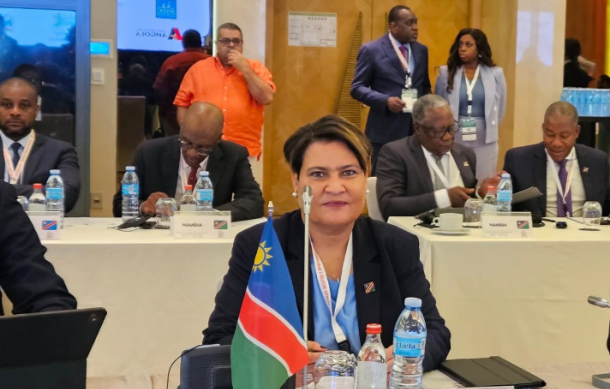 MIME Deputy Minister urges action at climate risk reduction workshop