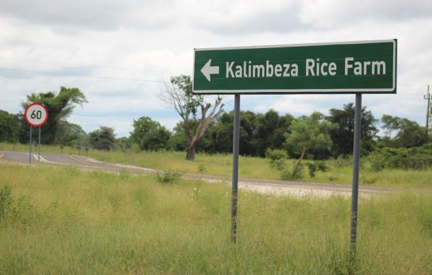 Parliamentary Committee disappointed with Kalimbeza Rice Project
