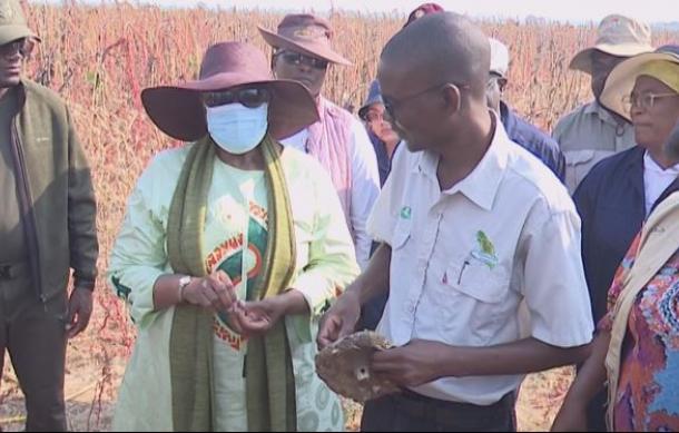 President Nandi-Ndaitwah commends progress of Kavango East green schemes