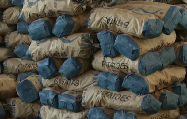 Green schemes boost communities in Kavango West