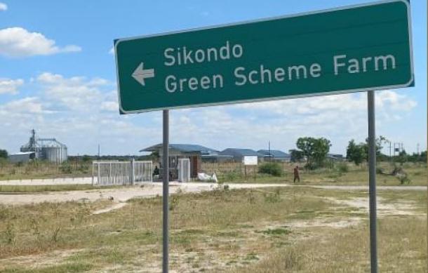 Potato harvest underway at Sikondo Green Scheme