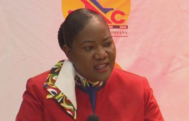 Namibia Airlines Association urges schools to introduce aviation studies