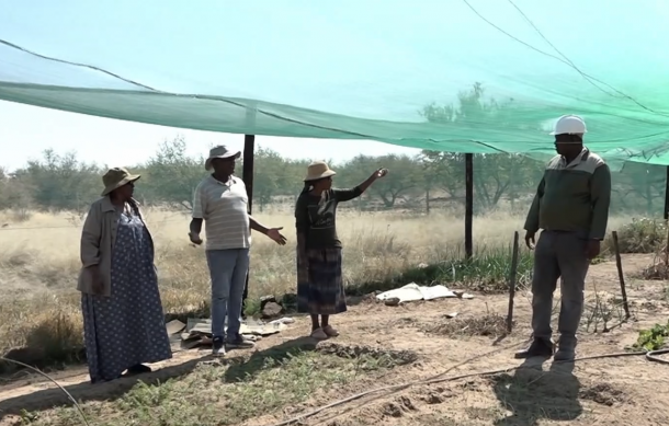 Erindirozombaka farmers prioritize crops to tackle food shortages