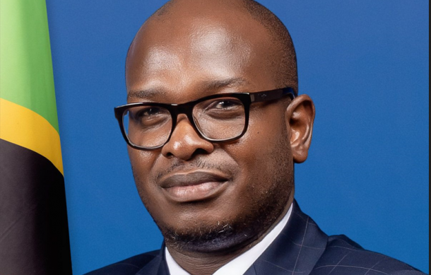 Tanzania committed to boosting trade with Namibia