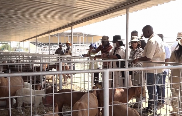 Minister Zaamwani praises Otjombinde farmers for quality livestock