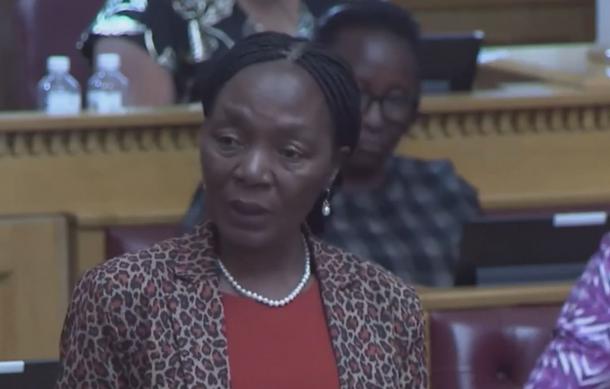 Shafudah outlines N$500m youth fund in parliament