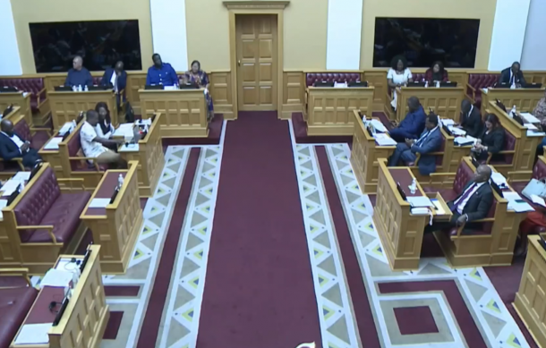 National Assembly debates health training quality