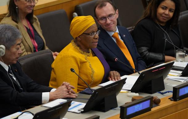 Namibia to review women, peace and security plan