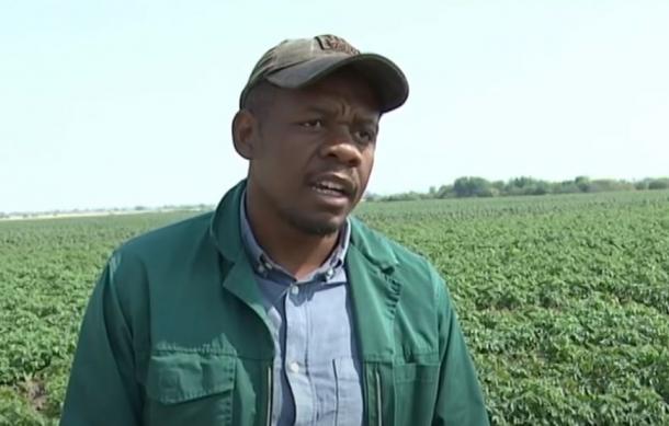 Sikondo Green Scheme trials new potato variety in Kavango West