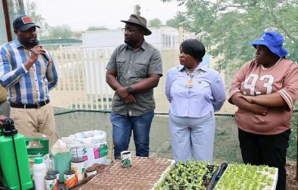Windhoek launches backyard gardening project