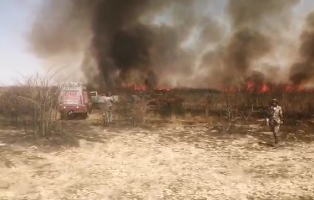 Etosha National Park fire destroys 30% of grazing land