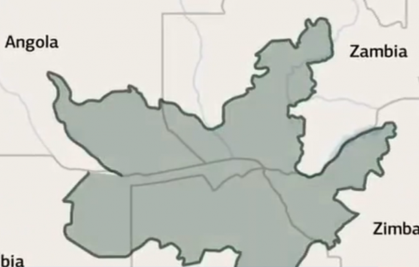 Anthrax warning issued after buffalo stampede in Zambezi