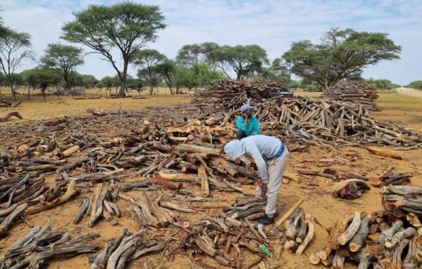 Biomass and bush-feed project set to begin near Otjiwarongo