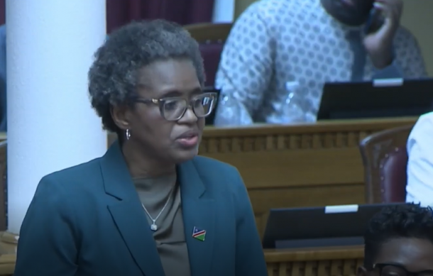 MEFT Minister laments killing of bull elephant after wildfire evacuation