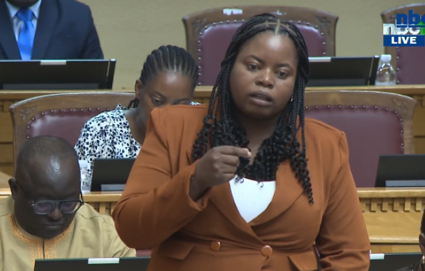 Hengari Proposes vetting committee for ACC appointments