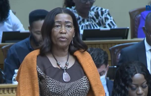 Minister welcomes amendments to improve communal land provisions