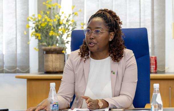 Cabinet Orders offices, ministries and agencies to finalise and fast-track PPP projects