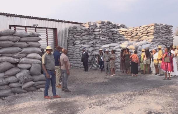 Charcoal factory opens outside Grootfontein