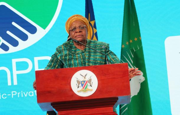 President Nandi-Ndaitwah orders visa, tax, and investment reforms to boost business climate