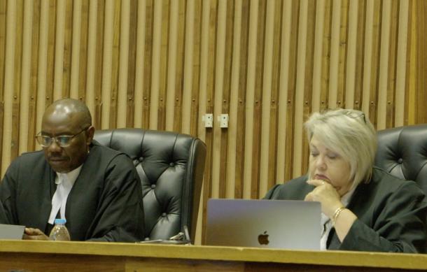 High Court to rule on Swartbooi bid to join Germany to case